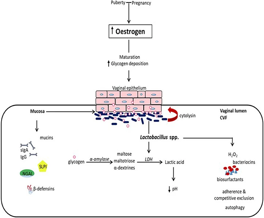 WN6D2ZXIhokVuf5slreFg0Xj3zoSVMCy5KvS0JvnLKCtaqXJs_Npfd1Ikxatwx1oJqkTPRvG57LQDvbF1JLSHMQdwjz2evzqxMePulFDWLQCXSFcA69l3kdy5mZCW8DjjB3_j-K7