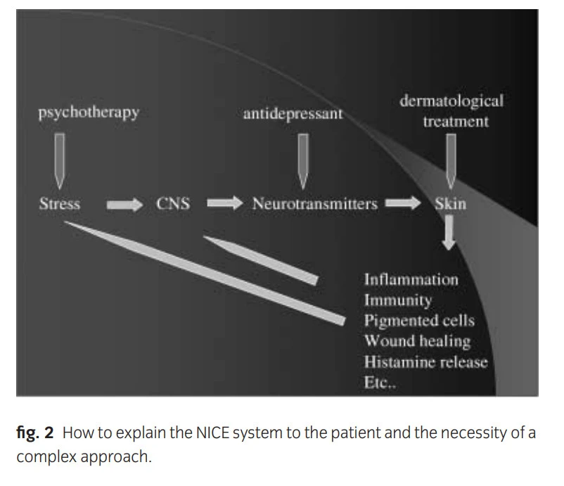 _h1BlxU95wFSOtoIWxP7oJwgkZrLqGyzHcqbB5wcnZidiBv4hR6APYJ-zDnMJqBwjK_1dljhd6jielBfEBJ1ZA6bgPq1zG1MRVuYZf-AbKsSZp3jlYNYTH1NC4wA0Rhbv4CnEr7g