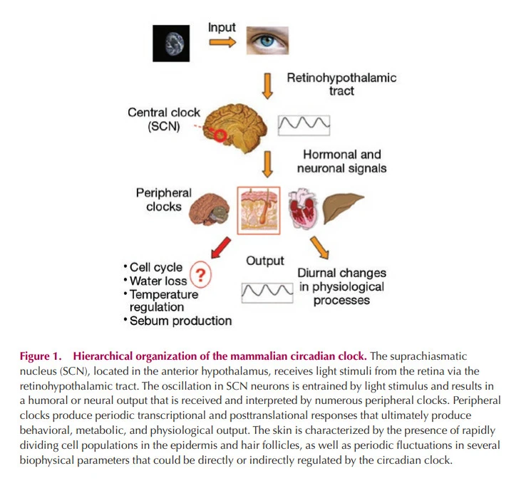 xz_ZCa82JcrXrZ6PJx1Awsi6XpoA89hCkXSD5L6GuFjUPYyc_5M6tP9T58CZ462MROnUGh9IGPbGr_f8z5kGm3bGp0EF850ppWm5kRzjr9rxQ5r3M6mFuPVa8cBbawkEWMKwromC