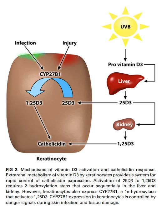 zY2YK6OFflD-lBGE1289AsK0nHtSk-Ng9Vn_xZd71gqbmryUQi5gauacfgAIrALNKyHrD6vk8H5WbSepTeipNXoyNGLbqPiWtvbMhyN41nOuK8Xb5YPnyqbLjA-ozUGENKW-JcNV