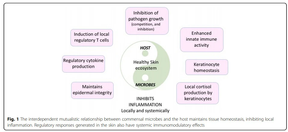 Zs9IN0cGXPNE4jGJcnmgIJb0hKOSVcA9rKk8BgmTLoXcWMAq48FVGZ9zUo3KNljQCRJAj1NS-7W74v1GyA-lAYrvtL21dSs5Gg_g17xFw5lY6W5bJh0FXzsbuax13_GWq7uaxzmq