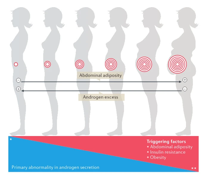 Ve0xBSwHOxyX0aaTrDcSEmKkGYxylYI2oHvbRDeg2fEdKJRbsH6H_4XZjy88vTU3XuDsrV84O1RQPf-O-BTonD2o-i5e2xJFzZRaEUibrafOT4f6ICj2mdIILOiUAkiNpqY_Agx0