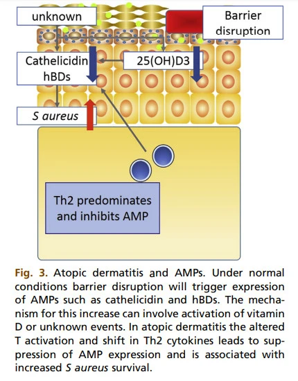mhdNX_YYxxaVRVTL-qKost8Y_i2bcsswuK7zcHMptmU5Gw0uUieUa_yqfD_UKgMrsb1-TUh2zSKyl5t92XCcVFai-7is1gR71pdJ6QqfeowAkHBYr_FECbH6aag71TMCgTP4_Zib