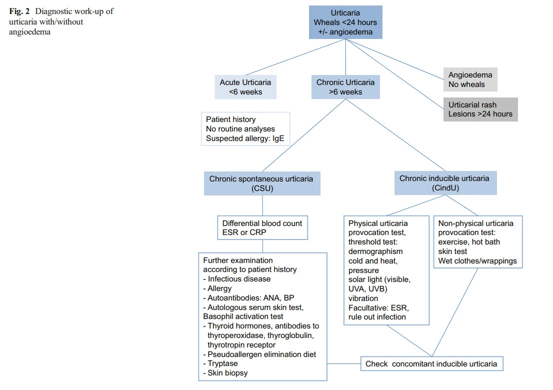 UiUmtvROhbIeXufvY48dxtvwp2J4WexIm0S6mKflyqqh08yaEzYHFZ0hKQVspUDL8db_NRNlWaoiXpn9J4Ho5YVHPy6JgQu8rVYsq1mAh-yzI4B_FWjdLq8exq2V0Q8AMmqHlfhw