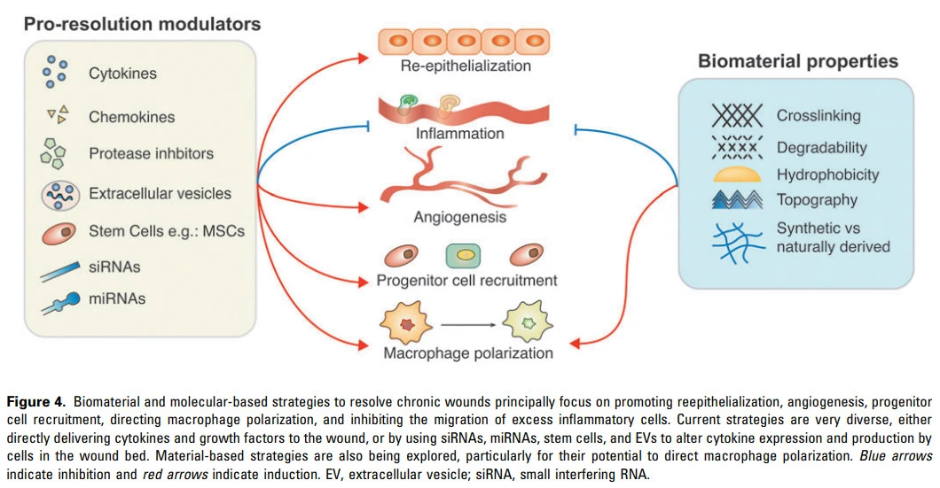 uN4LJtR2BTC7MCfP559E5GmiE7g2Yqn2AbPI-K8Is1QXvHt-yX2cst8VIZIf8PR0go-e17RiEWzR-EAe0hfgW_ENSo2D2pERAfD9poEaNX5_kw732Q4siwMV59kVMdRlwXSh9ZO6