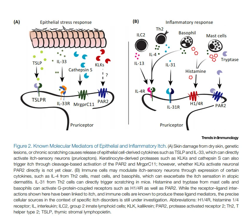 pUlLNI_9B4KUbz8pqT4IktTNTmF7Q0J6MN3YoNbRupQ1jyX5KMzFNyNW1a_C-oY1ZNy85DiGfH_wPkCGejcuLQP92zs5F00pX11wuMnByStyIVAtiS3ahc-T6V0XkooITPiQHELL