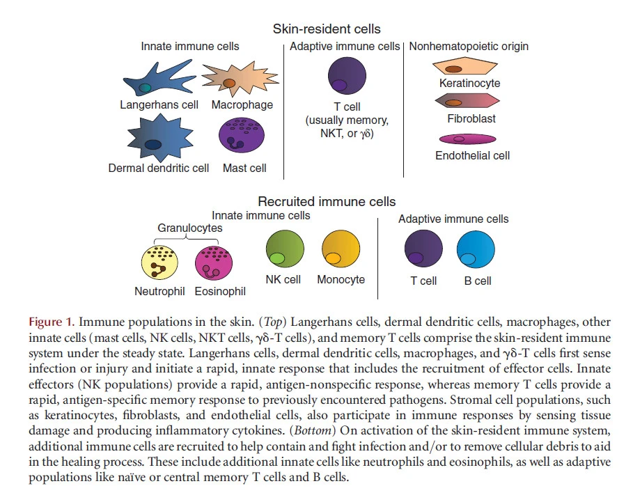 NfL4M9j0wORXjrbeDl7PvFnbMYG6qpEnNKoHHL8LqoJIafwOhvgHhDnhWAdkbStuyRCtk-rHnijoKma2OA3lSj84iTzR3NU2ruoO3s5VLVICB6HiTAzDGmkZoqJunV5q_JRaCGoH