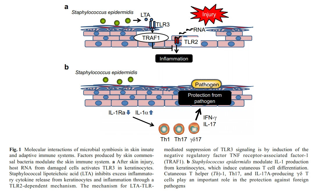 4Wn3CK8V1cZ1MLb-R5971PjJtsp8yASUPMem7nN-NWelxqzJ4GDvkYNXljCrMh2QwvTLxeXksq9TkueWjIiNXFzWGvrYFXo-O_y_jbZRq35wAB2jZmZnF2UFFV1FFeKg-2VDlsXg