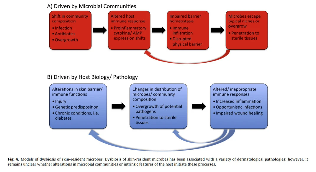 mvFVRtbg8Iq9PIMj6YB5CSYSNPhWmS7WnMFL13j5rAXTUYGYVbZp06sfGlSnfyxo7MRCZaC_MwCinknK_6OPOlCg9IuQXj4JftnH31H9NSFWt0uKx47pqAEnE-b1nHFA1p7pkIdW