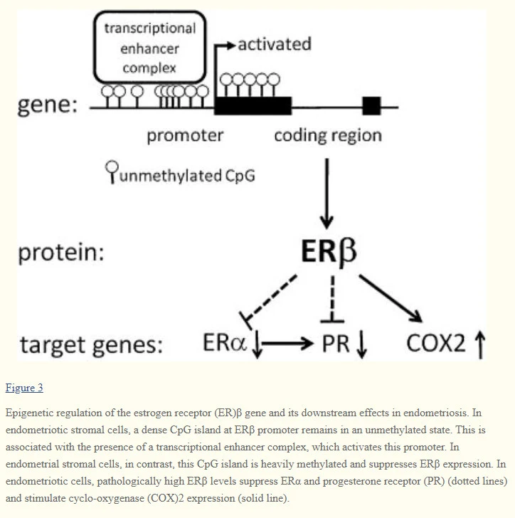 -LIhcBGM2plvDR6fJ-p3Bm9tCrlaIjFrB4Q3ijvqXGR9z4jAopaEBMvuHbxO2SkkpkMoP6PeEDnzOK_V5QPJReVV_DWY6Uc0Oj-T6EGKDMsH06PCBpvPVPLiwFU3NHSHPcMgx6yg