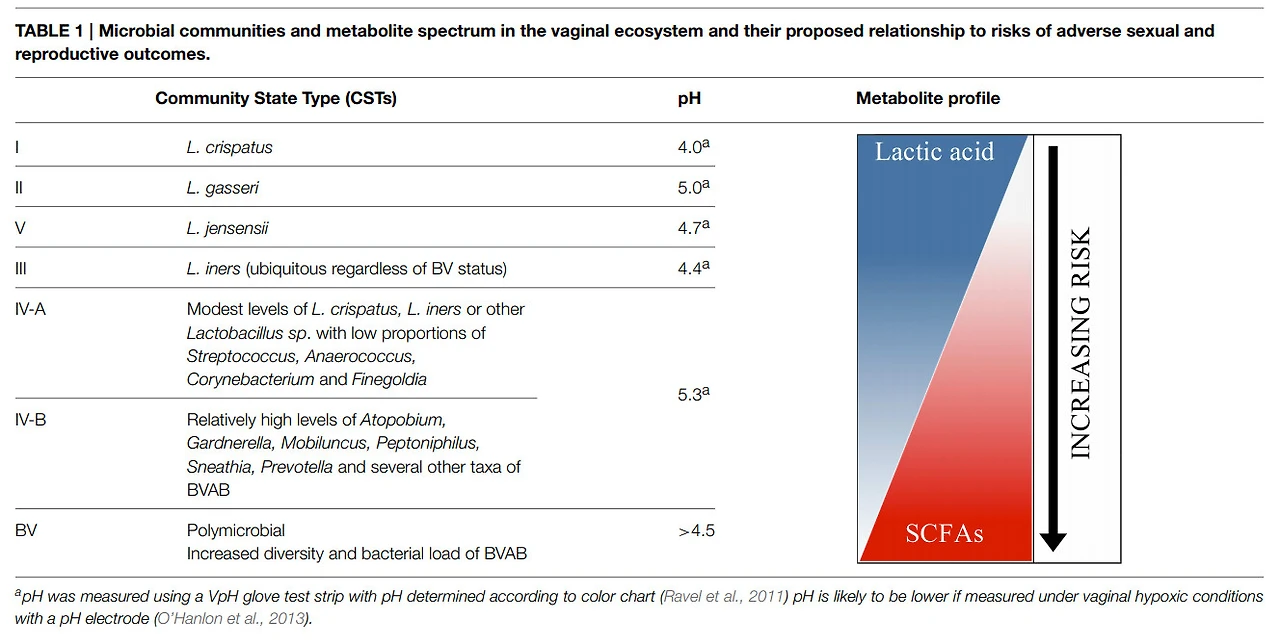 Ac5y2b_VrF8iTcEqmxpYjBUdhiaBEeMFOxYlBls2QpCxKC04jNOYmxTQHp4xlMSq55frrbPet74TlV7HAoVIA-BXEVohyRQkyKSYQt55EU1benw026Sqx0JIr8D9kqX_1GGkYA6F