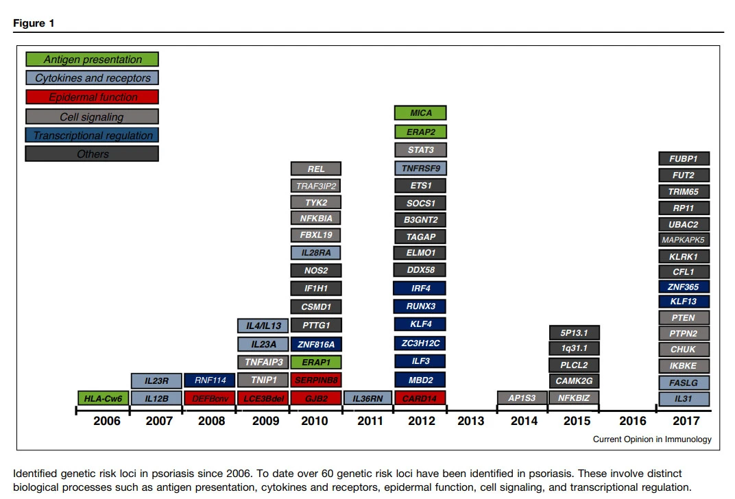 _hDVZnntBnCuwPChWekReSJgwreJ-EUc7DM0jUf84edEOeNetctSaLyWOieddVbtzOGUs_sZ1HcLcUzpqq_GRgv4ntqVB92EzUSFZW40zbiVbFZpj60ZlzFzM-5QclgzVcPcvs6l