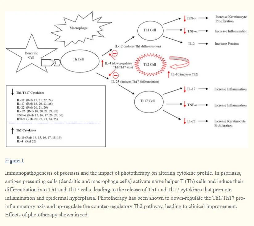 FjogUpL1gPtO-tJljhf4Lzi8HTeY1IGnf3nEnwVLf1HTpe7w3IgKtyfHb21QWvwhGYusUX7tnyYn_RCqOGp8sMPvueVEL1PD_hR4SQ-oWheOgdB5IeTLHMFsk7TWG6cITwFGJNoU