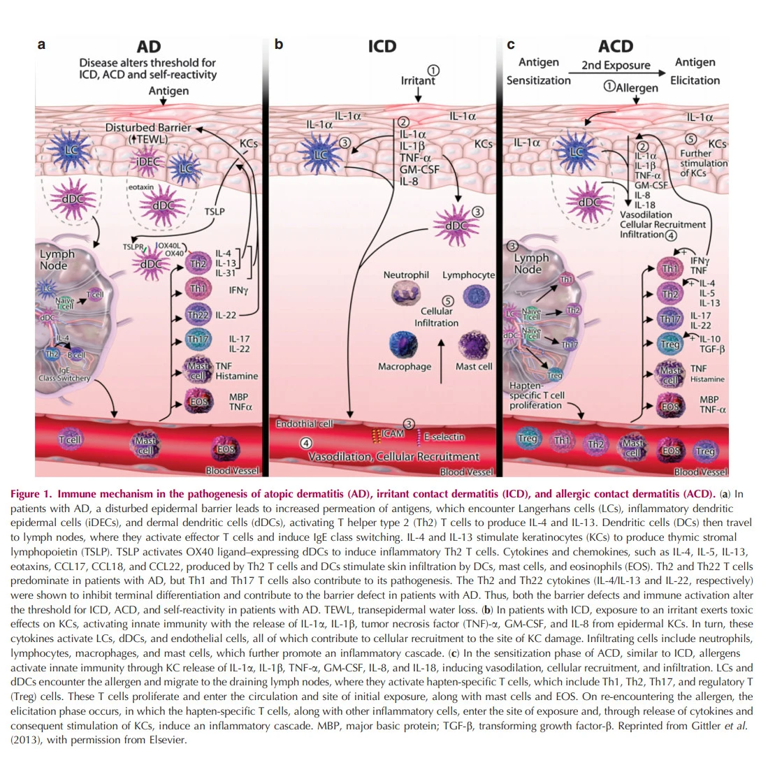 k0cN9Mehe1WadgPWjACXbnOfODNS1bnMgRcSWp0PivX_d6M6eH_lcfso3YFRFH-lgmbNdIg2l4NjNgCpgX01W6iia1sFtOhfbevbWm2DucblCajT5fcID7NPM24yL0-GUsWiX47C