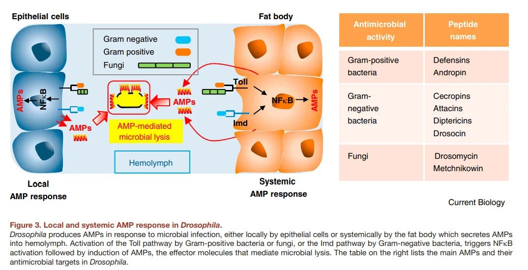 FNSmO33EB3T0QKPFTadjXHbF86_2QOmHw0jtdVFc044asRUeOLIzpTZDuRaOP4wHDysC_Vgcpsq5yJPGlfyYsRK_oBiK8PipXqzEbR4bY1D0ehxt2wFWATzr5JC0IPTP-glcomlk