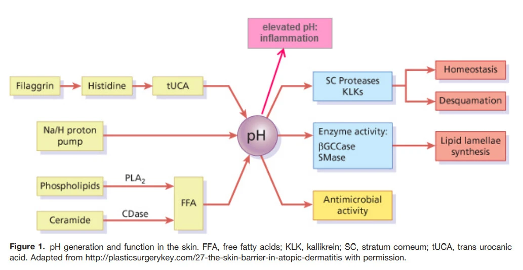 o8sntzPpow5Rw5XKlNUH53yk--X90KGAjsXew2tgfNcj_qRk4-LQl-pyBu3Yf9-VuxKVp6rmKg5glpqTwXhlIcmPwoz34dm2LCo3RNn5twNq-eD0hTLlmQz_DXp6XReySmUjQLMl