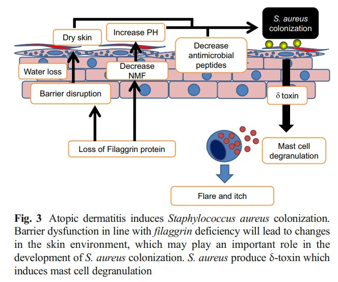 oWjqJRUS_gwy3ltqQNct4tkmXTJUA2HdghWQy_tAkpDSiqH3HhJDWMyZ9e2O02MO-vCqjO19YCxJ9NsCtaYoESnIRCdYmwbuD_XYSUVvTdAuCLq_XgQjIKRijhCaNgI5blpE_mYO