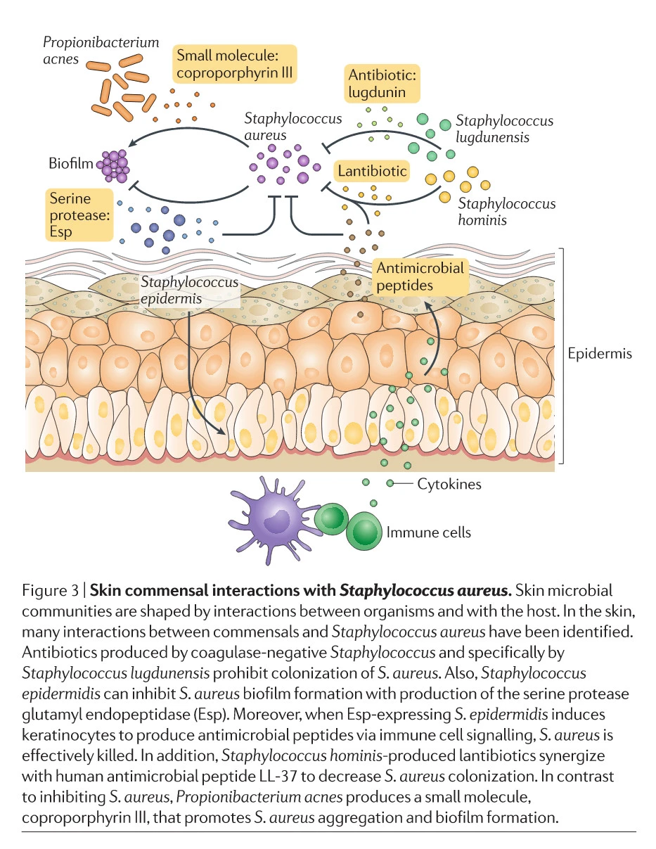 UrwQjk3idHfQPXNtxLbwyL9i1zbXM12Sahl9uOXlM5ZHTYoRzoVK1r-X5fw2VErjbQBGVO5CSnkKRbcmPfjZvxSOs27uMmhfg8De0OtXIfR6AZlxg2nas8g4qcFj2oVuRP87pIGA