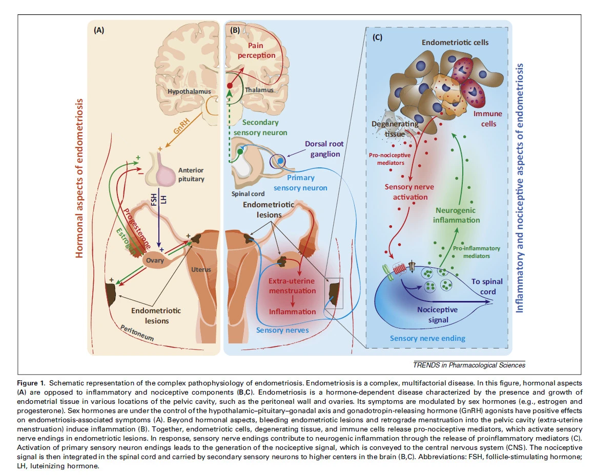 rRef1BbY1kEG8_CDuulcGcI31RKc2l-lZBX-He32tLi34zuvqFn-RNLmPiUbbNx-DpzEqHvqF0_jkrwB2f8UpDL7G02A7Q1lLtqqeuZIJMmueolqkBRp0HUMNLQJxb20Xr1SHbbq