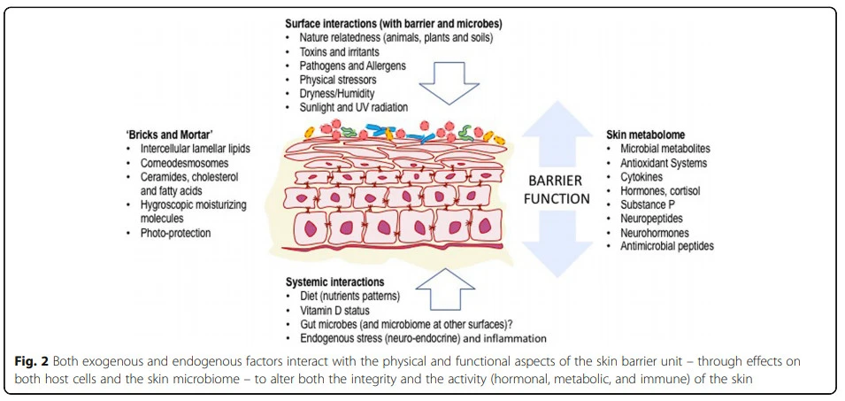 EllePdDOYSHI3zCIQgKtwIKbjlCaZTK17vf4-QTpUcoiKdtpSN8gJMycEoYREsut-Mykj5KYz9Zjqi2X9fvIKd55BqaIeiJ1U9a8a1uoGlI0dsn4cblxGUbJKIFAiNp2jTlx4Opd