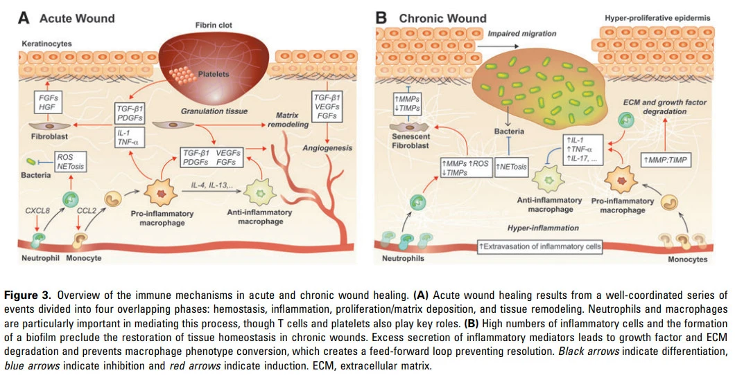 shwe7J4u22u6saBTyQEH4pWezS3F6Qcxt_eJDUgyV5pb-aM9EJruYF1h7SSqwYen0Ob6_i-e3RYfKp6C9MIRLv75bWUHd6i_dmRF1y7R00kPi3jV_nLsLB8ojrKTACtfe24pLOhF