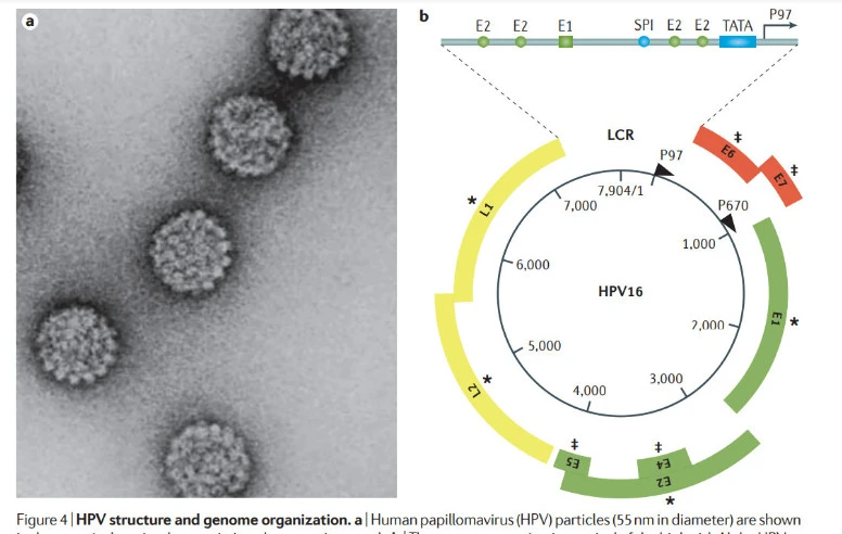 o3uu4HEecp6N9zppXM7ea4l6UwlwyWeZ7hjTrToA63P9Ke9h4xekA9eY0g09WKKHPVv9g8XuiakCEGODiswPBCzD5WfUHYRhA1I_Y6ZGSM2fNny3JnRvmmIqpMxho3vDU_pf39wC