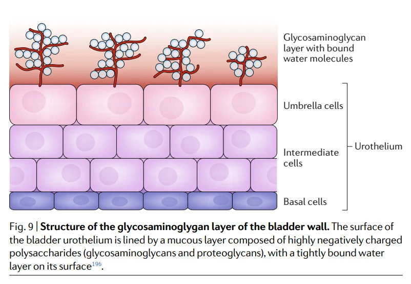 N-uiipSaqfetlwDQ1WeCiQrMF1VIM_OEhDDvCqTywEq8dqOUjxGp9zrPB5J72ZlSoN3m-FyFyPO0mndiHxESMLcwg2T-nMRo1firA5QWVf9vrK0Zfuay4Y0sRMofSw3gKZKmLMlp