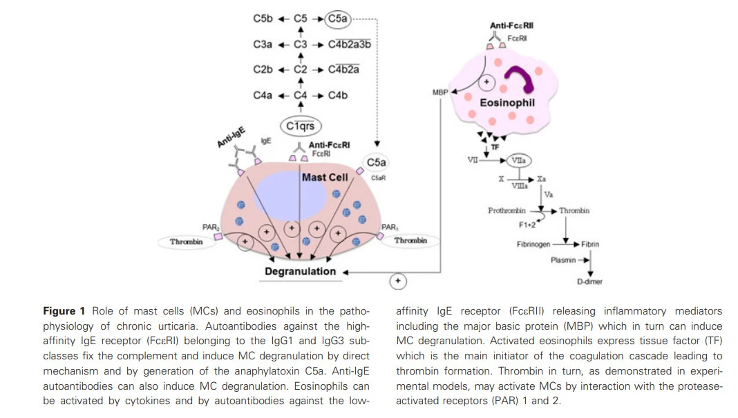 LhYaiDcGcKlRhYcog9bpsA-_2b16b-MEk3y22SOhanWJ3WHWJFO73nyqbdEIo8H06y59ExcY96WKY-r34EmEDEPv6PQxIc3blDfs6Eu-fnIp0n2HE-CKYyZ4-D2LObTf01fn2b-7