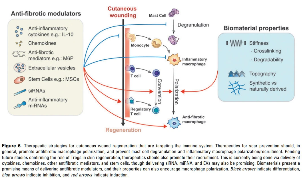 RIq9QscbM7mSGdFvwIGTAHdNOl0ohgIUZ_LsC1K-oW2rIn3drzUuOZqHADXYPEBRJwPi6PDfXPnC0i5pOGA-nbPpqVFXWGJjskJZhoSOD9_HEHcvMciPlU9BGmUku7K7zgH5o_pA