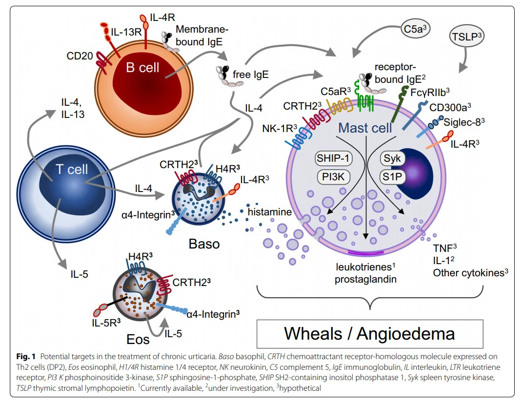 tCVxoFFyS2NAXjffUlZPGtM6603xO7nTcpxCNQcBgECZgalOIh3kS4RjK15h1TW2FensX-si8gdNvLdyyVCbvdtOCjeAYNSJEIp4ONlWUOM4elHXV58sRmkX9Cenq1EJ5NmY-2vl