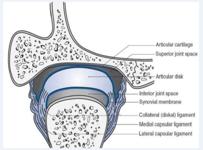 zGA7vHKnAvETjexe5WiT3jl8lNyckJA-sfQ4adC_ay2XhyUNtTNud8atdVe8twatnXOVPJXWfd5X81WBJXd5TJ42GtUMuAHEwLWRHF7k0O6buK82kRGjAehy4y_1-HjRJQ-EfNJJ