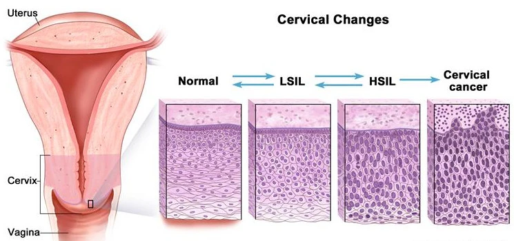 7ozTxs-B1OtRCs5CON8KJe4-gHKBIBXf7XwXcEIxuRMXps2MJAkVWKuOWrtjWKArD88DG8IaPq2nPv7xFMim-_dkFx7xumkaGXXGKcN8QM5jyiT336JCORdUQs9iJNSHpGuUM4CQ