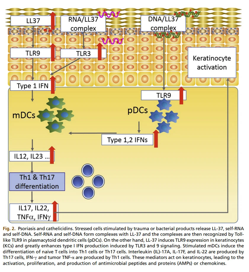 taNWGIu2ReOofuV1jmgZ3IP156kjQnarAR0ahCbZJKZyhHZC4tX3aALUkURPyqskZ4f-oSne1Ox-8fDnQVPSnJFW8TKVStGDumI1eJcvYGuBpN6GGFjeDwGgCve3_DMehACjJnpX