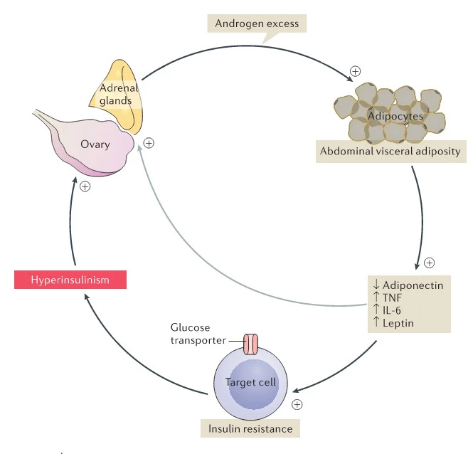 _s5MhUzqluNat-r976bhcqU_Q4NPwyIJCOOJ2EhAND1Aegq9by9a_UmwRelM-ykgVZYTFla32BhiB-AwvevELqvGSMqkFV2i6t0xteJ_l6GNqjjU0eu6rIk-tfHcyUAeb16KK4un