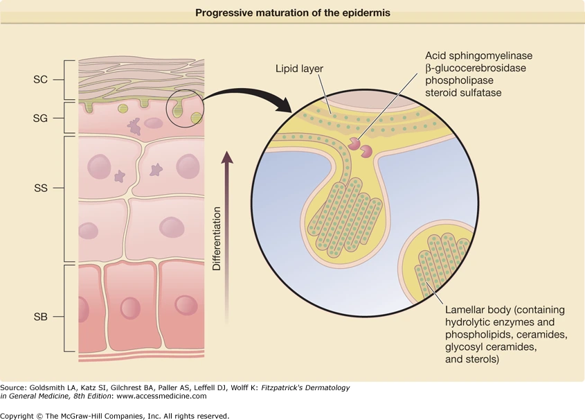 XWbKvlcDP4FwHeNsFuy8JsGBXSj1udjP-T28hCO2cecS-KMPUhXaoKa-Sa3QXoAY7IiZYBfiYmww7VlqIFyIUVG2itCkpkRIO5tbSpM9qFqc1Z_kBuZgOlEN-MciMFvhXKi11UTR