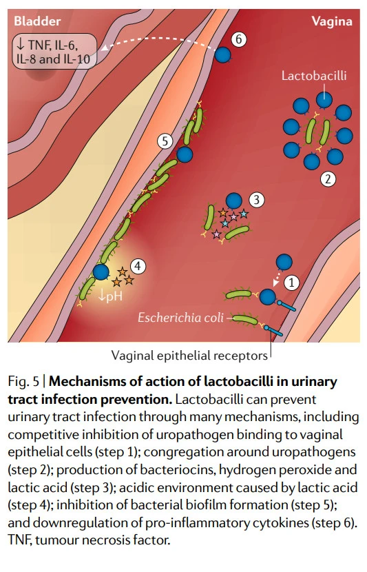 Z4vxmH7y7FXljsfCRyBtJiNCiGZ_Hgga7CZI7QclOkdbxWrdJAkP3aZqVOm_ICSCujBf603Ta5ahdWIpbfHf025wp24oFTSVrzucINRsQWmMldoRTfhvy-ter210sUUIlUkfDsSo