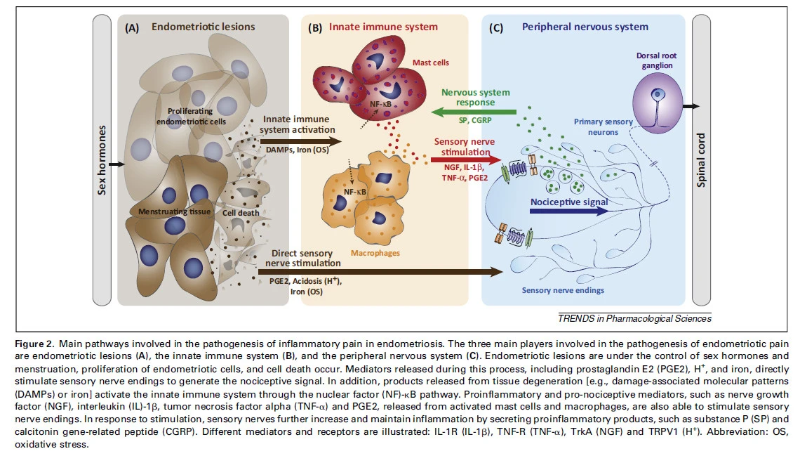 AlbiK_dGLuZhrvehX_JQRe_T13E0Ns_jcctj6Zsggi4HBZnX70OLpq0WmFRp3h7MFltrtCWPx3ebd2VzitFWTgAxZW7hJ1YZtfy7_Tx_cauUfGtY0rDiuOUOqGhMipOKKjRa9AOT