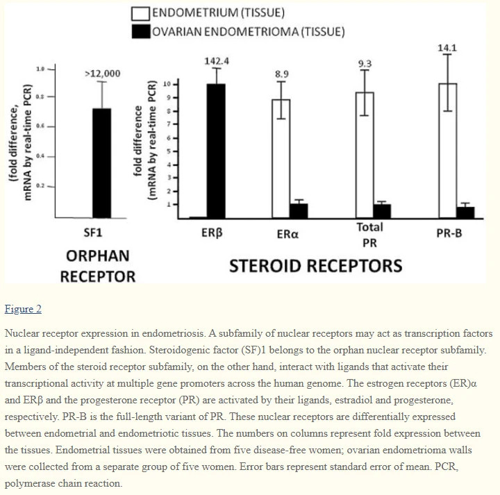 S9Lu1mtparyXw2v-nO90xkqVhEZjJt6XFC0YUcb_tPjUodlibD6k57PrpZmDpLJKUttm-lws4GYwd54n3RiV2w_BSGlAESkfaCH-Kq0uCFfNOy_RVceRZ2uVmMyOBg5NRBlg1-Bp