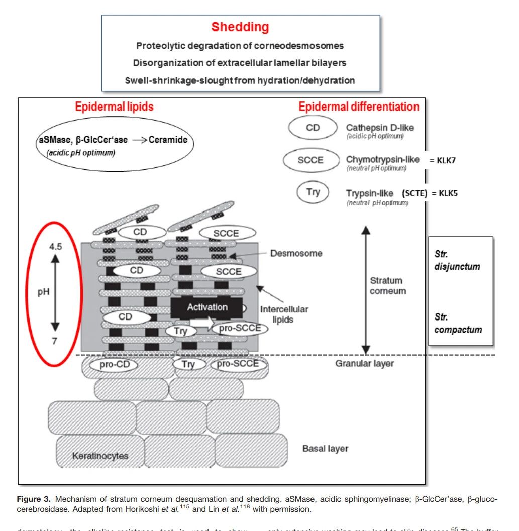 gVNxRsk4IGooEz9BjkYZkMJmaD_ycIlnDBR1VwK_kTMTWTfKtiCYEMmascMBVkfvY0TqdU5ZDX9rEkjbFuRdLNKdFSk-4m8zXiZUFXQXdgyU5XiQecjSVmyrsdYWn2KdQcQM11Kd