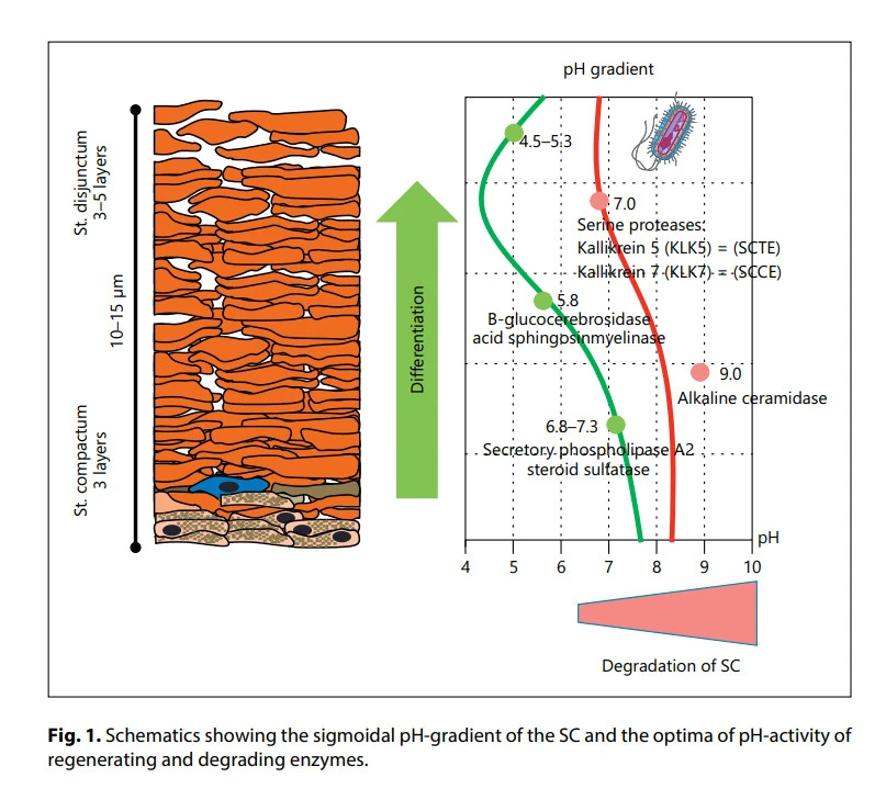RVPXEA_ygQpxiNBgU6uBJ6rGr7_RDvZ_W7T-hdqsC4llaI9tKUDbb0zfrvDXeHYipcTpu_rjAuevx3RjbBh8mtzGOkoflthFDV_Gx8OucT2o1LQskIViknOIXt9m00YT7VKm0yXN