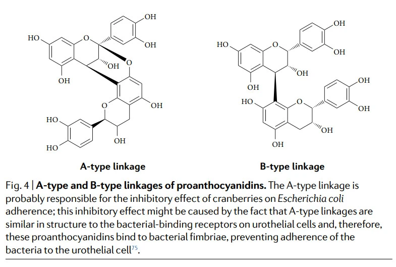 Wzd7xIuXEe1yQT9hk6NM-xoUagOk4iw__IDdc5QJc1ovryl4mfwd9jX-NqTFWVErcsYCwsdM7yFQwkDFq_08F87SdufhWgF5ZHRXv7SSCkaAszcTWV7qR7LfVozPnpAIl2O_V9-a