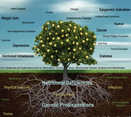 %EA%B8%B0%EB%8A%A5%EC%9D%98%ED%95%99%EB%82%98%EB%AC%B43.jpg?type=w773