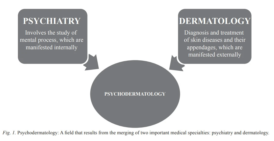 3PblhP_dFnd3DarFMVZ6juZxFqc7j4e6amlkfP2DN_oALs9y5IA8zs7x-dQ-Co2nzRDRub3ZlIQ6KLBoHOalhYVgszWvEV46zlgRNlaS-o-0MPK0si5y22k2tRTVukhqvZVc1tW1