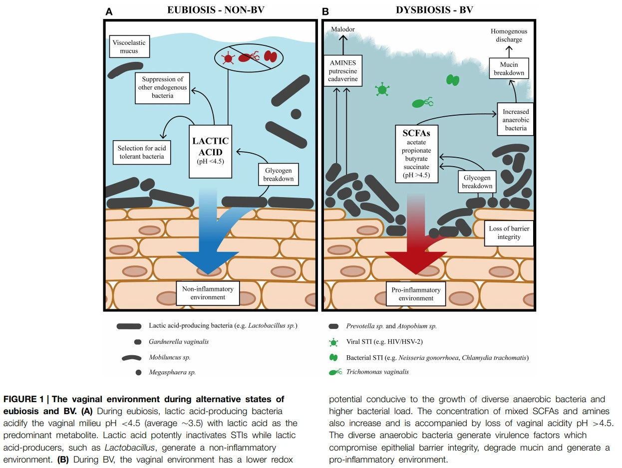 lTR98Mqz0ps-YQZtE3d_3K8xdmpuc61gnUKvFT7TP0XHVS5dqyPwRr6S0XinKEgigjKrvO2hJr2a2BS_ARJGYoFDi89MyXxnxhJhXqYIvAJpwk_BEenal68dJ4pO4mwkFEvAbw-b