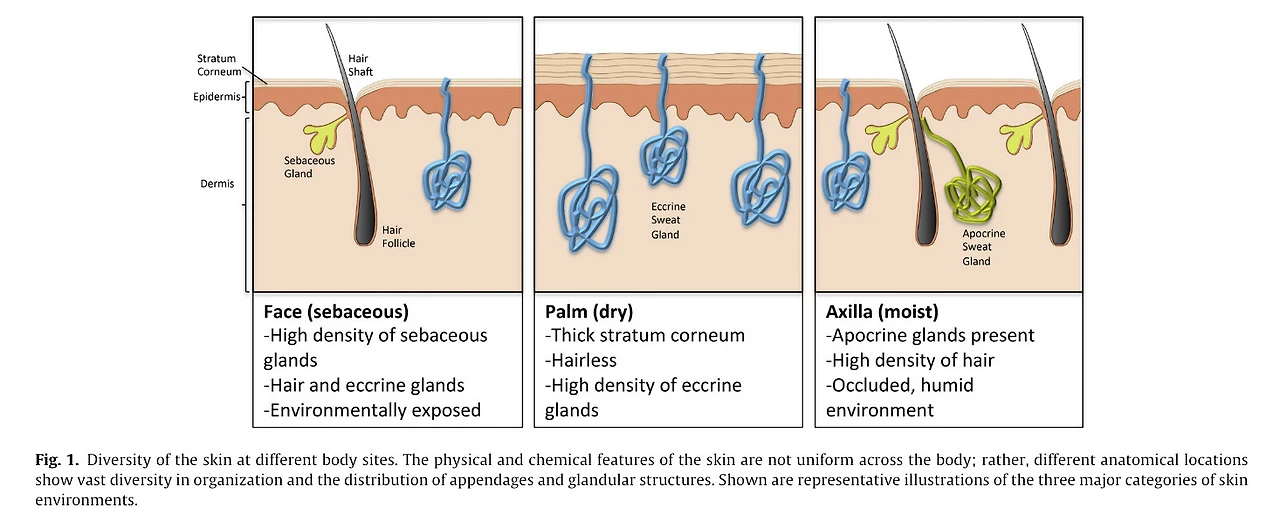 czBis9L2h9tcqfxni5FqzheqsMPUIMUBnPc4VSD3kXRbSVk56zDhHwTiI9N_nGPSC_jXWv6eP4WoXZ-XemfWUvni3xagLRoLGnxUDYyrO2QRW1x8FvoIDEdffVoihgLQl7hZKC2O