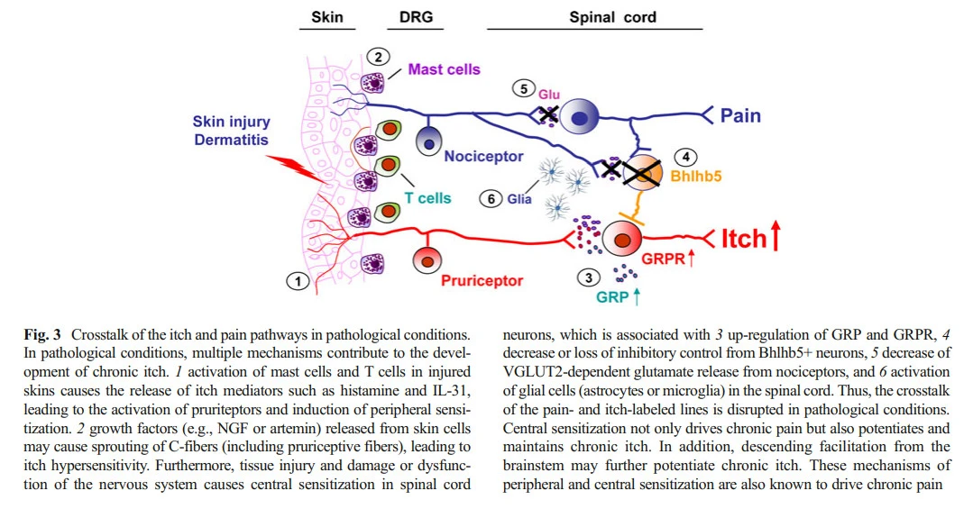 7nvvok5vWpTSp9B5ZuSBeU4kzjA0dqS6GJ-Hm-LJRd1VhyWoTSZJQnGGdSiWAAu_pmBXyGx_NYe9JhnXqPlMk9fLf1VkB38O-kdZSj8937JycEaH3jBHHKCb93qv95cZmbQ7HGOm