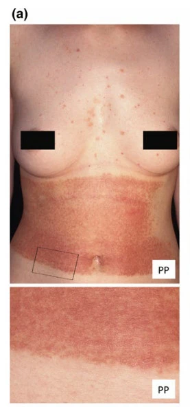 F4eQK3A_vCjFKcDeEIrNP_YeASmkg-MLHkcj0U3ItHk-Al2JcrYbuTcD5VSfIAMA2uaMvJ2gnQm4n36_5VLn_1-HVJVa0DTKunLDAMsMBTLHQol59iD5JDXuG55U1x-F7fIFq2rr