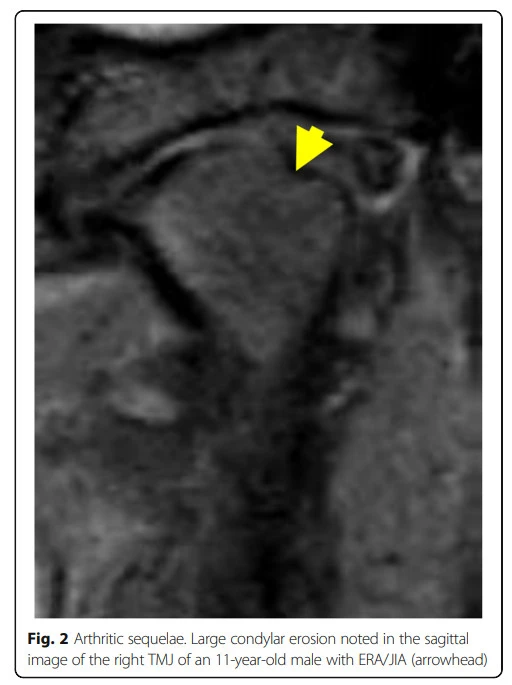 ptl15VD0NpksPDvVNuph2Pom4LTunQVX8DwlbQZNrx6rgimMj3XHEnHcy3boKiQ3e1BSfDpwXW5blsq0h_x1FY38cRBPvY46h2EGCeQT9VzB0MfHGl02-0w7ZmZ8eXVpnFmTeG4Y