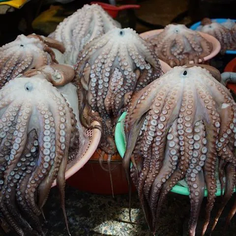 18161421_106728533231831_193246487205904384_n.jpg?type=w3