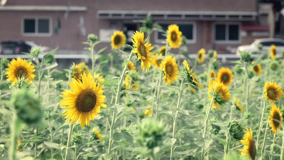 %ED%95%B4%EB%B0%94%EB%9D%BC%EA%B8%B01.png?type=w580